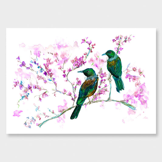'Tui + Cherry Blossoms' Art Print