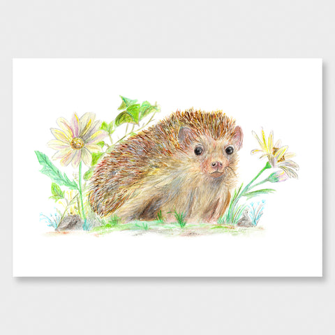 'Hedgehog Peek-a-Boo' Art Print