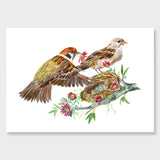 'Sparrows' Art Print