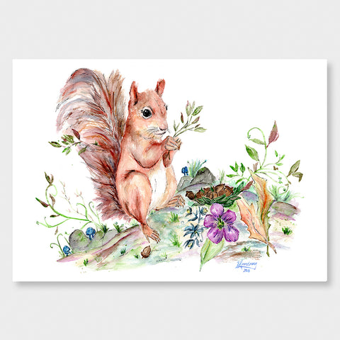 'Squirrel' Art Print