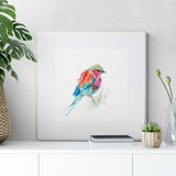 'Lilac Breasted Roller' Art Print